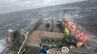 Offshore Lobster Fishing