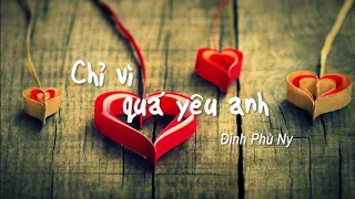 [Vietsub + Pinyin] Chỉ vì quá yêu anh - Đinh Phù Ny (只是太爱你 -丁芙妮)