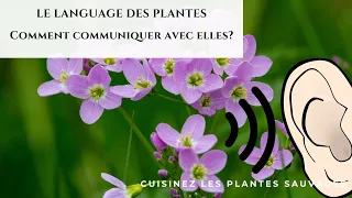 Communiquer grâce au langage des plantes
