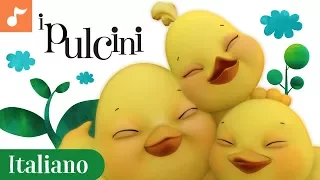 Pulcini | Italian Children's Nursery Songs  (Italiano) | Canticos