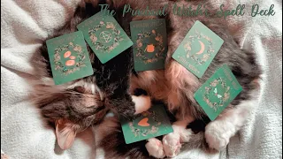 The Practical Witch's Spell Deck 💚 Gift unboxing 🔮