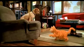 GARFIELD - IL FILM: Garfield vs Odie