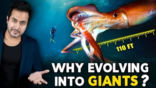 Why Are SEA CREATURES Evolving into Giants?