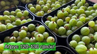 Огляд цін на ягоди та кісточкові🍒🍓 26.06.23