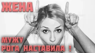 Жена мужу рога наставила. Откуда это?