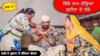 ਲਾਲੇ ਨੇ ਦੁਕਾਨ ਤੇ ਰੱਖਿਆ ਚਤਰਾ (Part 12) DESI MASTI TEAM | Punjabi Comedy Movie 2024