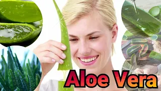 Aloe Vera, Amazing Benefits & Ways to Consume it