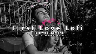 Best Of First Love Lofi Mashup | [ Slowed~Reverb ] Lofimix By RINSHIM