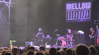 Mellow Mood live parabiago rugby sound 2015 pt4