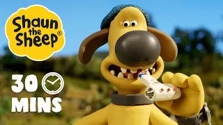 Full Episodes 13-16 | Shaun the Sheep Season 5