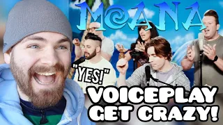 First Time Hearing VOICEPLAY "Moana Medley" Reaction
