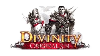 Полное прохождение Divinity: Original Sin. День 18-й. (на русском)