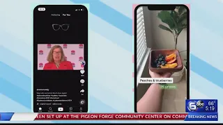 Police warn TikTok users against making dangerous challenge videos