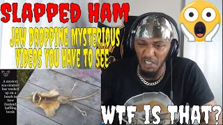 Slapped Ham - Jaw Dropping Mysterious Videos You Have to See (REACTION)