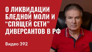 О ликвидации Бледной Моли и “спящей сети” диверсантов в РФ/ // №392 - Юрий Швец