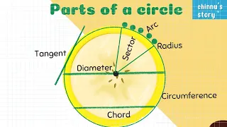 Parts of a circle| circumference sector tangent radius chord arc|for learning @Chinnusstory