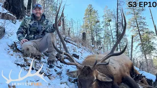 BIG BULL ELK DOWN! 2023 AZ PUBLIC LAND HUNTING!!!