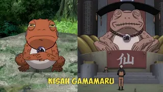 KISAH GAMAMARU - KATAK TERTUA DARI GUNUNG MYOBOKU