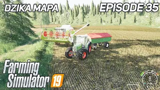 Canola Harvesting For Large Field | FS19 | Farming Simulator 19 | Timelapse | Dzika Mapa #35
