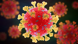 mRNA vaccine versus adenovirus vaccine