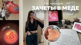 VLOG: Как проходят зачеты в медицинском? // биохимия & гистология 🔬🧫👩🏻‍🔬