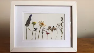 Framing pressed flowers