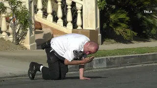 BEE ATTACK CAUGHT ON CAMERA - LAPD Officer Attacked - Encino, CA