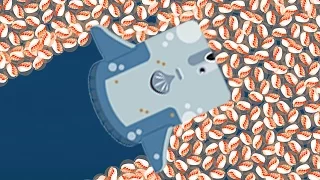 HOW TO GET UNLIMITED POINTS AS A SUNFISH! (EXTREME) (Deeeep.io Sunfish update)