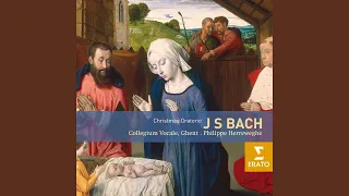 Weihnachtsoratorium, BWV 248, Pt. 2: No. 10, Sinfonia