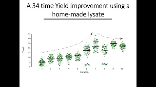 Active learning cell free protein production optimization