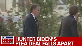 Hunter Biden plea deal falls apart in federal court | LiveNOW from FOX