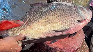 Giant Katla Fish Cutting Skills Live In Fish Market | Amazing Cutting Skills In Bangladesh