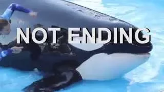 SeaWorld is NOT ENDING Orca Shows