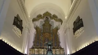 Concerto dell'Organo monumentale della Chiesa di San Nicolò l'Arena, Catania