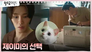 냥집사 김재영, 고경표 앞에선 순한 양 되는 제이미에 충격..! #월수금화목토 EP.6 | tvN 221006 방송