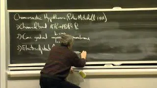 Glycolysis, Respiration, and Fermentation | MIT 7.01SC Fundamentals of Biology