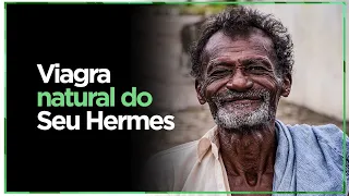 REMÉDIOS NATURAIS | Hermes Raizeiro e suas plantas medicinais - Ruy Barbosa/BA - EP. 06 de 06