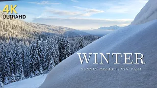 Winter Wonderland 4K - Scenic Relaxation Film with Calming Music - Nature 4k Video UltraHD