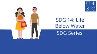 Sustainable Development Goal 14: Life Below Water - SDG Series | Academy 4 Social Change