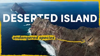 Why We Are Searching for Endangered Species on a Deserted Island | Expedition Vlog