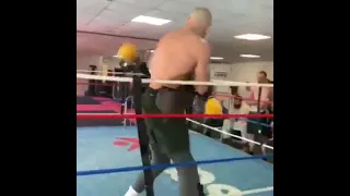 Боксер против Качка 😱💥🥊