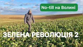 Використання сили рослин для підвищення родючості ґрунту | No-till на Волині