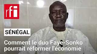 Sénégal: «Nous avons besoin d'un État capitaine et stratège», estime l'économiste Magaye Gaye