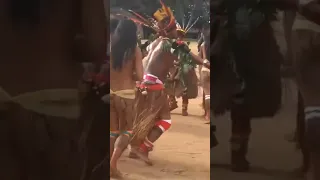 brazil indigenous dance#shorts #video wahran