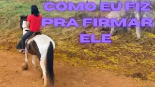 COMO FIRMAR O CAVALO NA MARCHA PICADA!!!