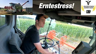 Getreideernte 2021 | Claas Mega 204 | Lohndrusch & Erntefieber | Salzachtaler Agrarvideos