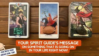 Your Spirit Guide's Message on Something That Is Going on in Your Life Right Now! | Timeless Reading