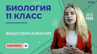 Изолирующие механизмы. Видообразование. Видеоурок 6. Биология 11 класс