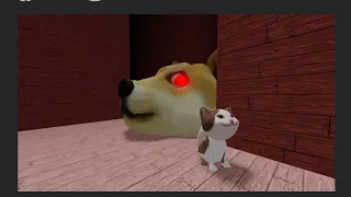 Как найти всех  котов в ,,Doge Head Escape" Roblox