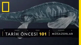 Tarih Öncesi 101 | Mosazorlar